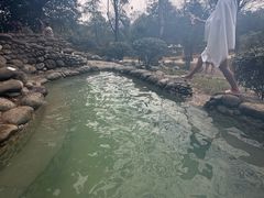 -三江森林温泉度假区