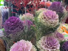 -越秀西湖花市(广州城市广场花卉店)