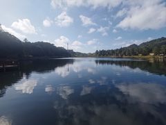 -海南热带雨林国家公园吊罗山景区