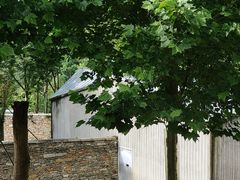 -卧龙中华大熊猫苑神树坪基地