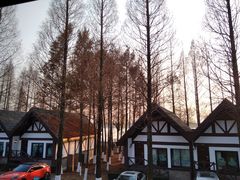 -太阳岛度假酒店