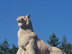 -帽儿山国家森林公园