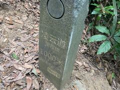 -梧桐山风景名胜区