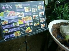 -蝶豆花蓝面条