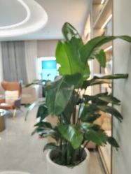 点击看大图 -LIHER北京丽合医疗美容医院