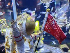 -锦艺城海洋馆