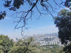 -灵岩山风景区