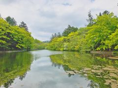 -轻井泽王子购物广场