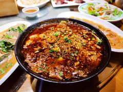 -前海沿·青岛菜(大拇指广场石老人店)