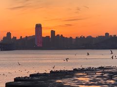 -星海广场