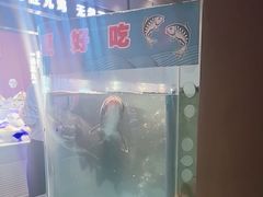 -鸽子侯·家宴·平价海鲜(市图书馆店)