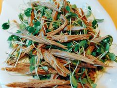 -素虎小呆鸟(西二旗店)