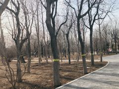 -回龙观体育文化公园