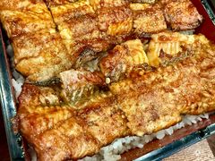 -樱の花亭日本料理店