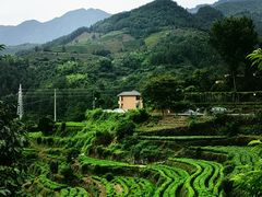 -杨家堂村