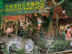 -正佳雨林生态植物园