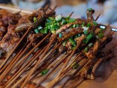 鳝鱼-晓靖轩烧烤(沙河风情店)