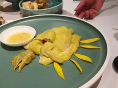 白切葵花鸡-陶陶居·雅园(凯华国际店)