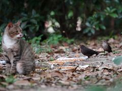 -苏州河梦清园环保主题公园