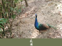 -福州动物园