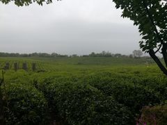 -南京市江宁方山