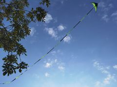 -风云岭森林公园