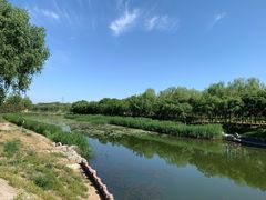 -大兴滨河森林公园