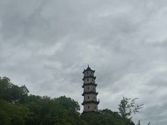 -江心屿景区