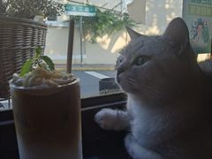 -不舍昼夜咖啡馆