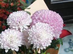 -何兮花店·气球派对鲜花店(马桥银春路万科城店)