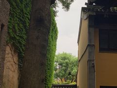 -惠山古镇·寄畅园