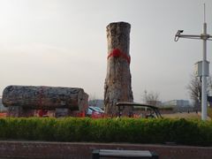 -北京凤凰岭
