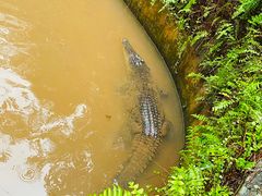 -海南热带野生动植物园