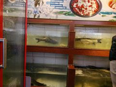 -百岁鱼庄·常州老字号(湖塘店)
