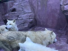 -多彩贵州城极地海洋世界