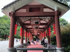 -广州市帽峰山景区