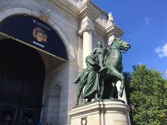 -美国自然历史博物馆