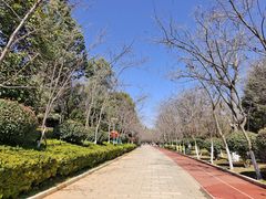-洛龙公园