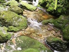 -牛背梁国家森林公园