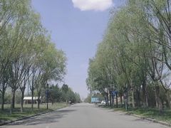 -亿利库布其七星湖沙漠生态旅游区