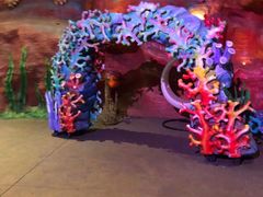 -青岛嘉年华主题乐园