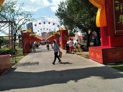 -万绿园