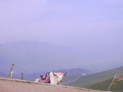 -日月山景区