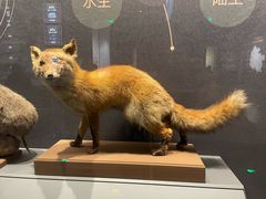 -贵州省博物馆(新馆)