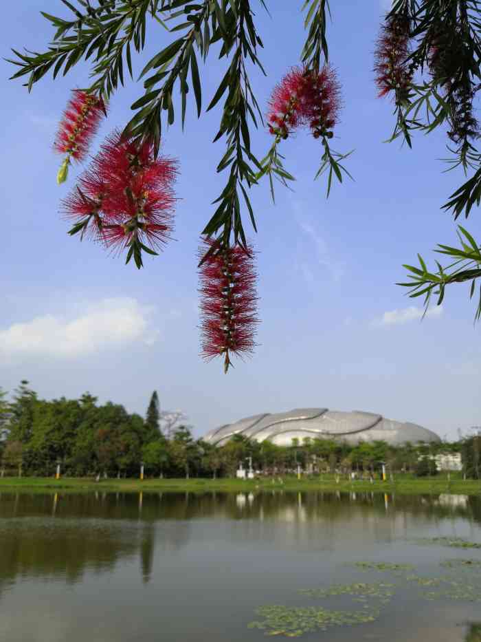 龙林山庄图片