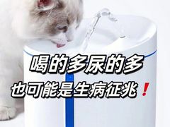 -美联众合动物医院·24h转诊中心