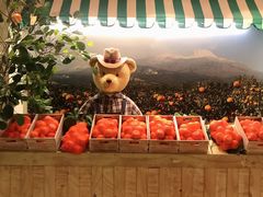 -济州岛泰迪熊博物馆