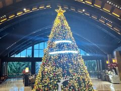 -三亚湾海居铂尔曼度假酒店