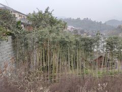 -两江国际影视城