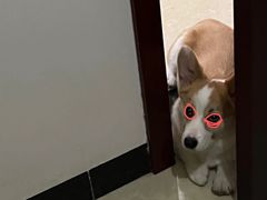 -珠宝街老左杂酱面馆